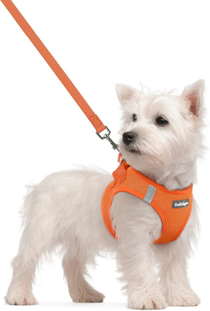 Dog Harness Small Sized and Leash Set, Step-in Puppy Pet Vest - Colors B