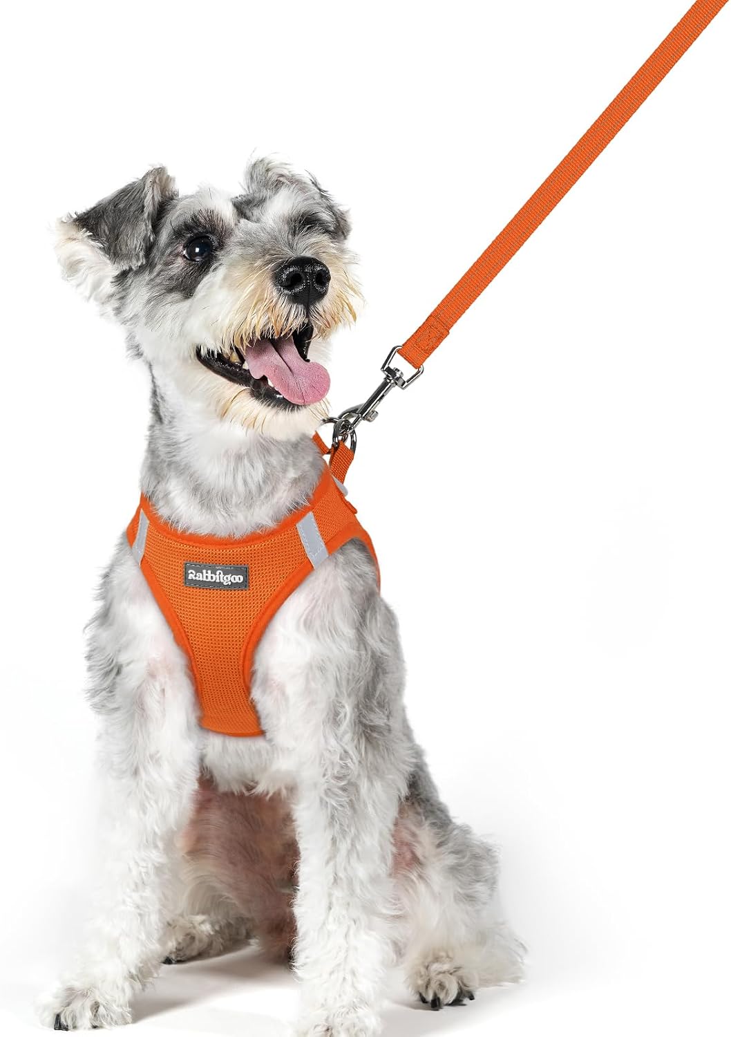 Dog Harness Small Sized and Leash Set, Step-in Puppy Pet Vest - Colors B