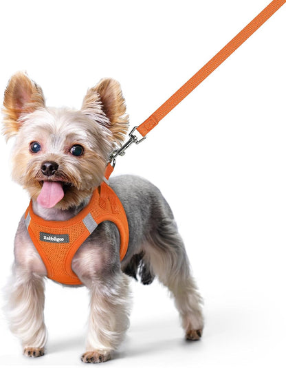 Dog Harness Small Sized and Leash Set, Step-in Puppy Pet Vest - Colors B