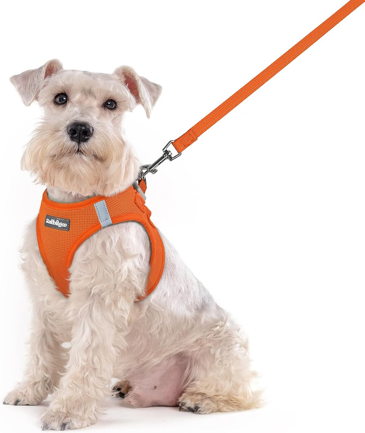 Dog Harness Small Sized and Leash Set, Step-in Puppy Pet Vest - Colors B