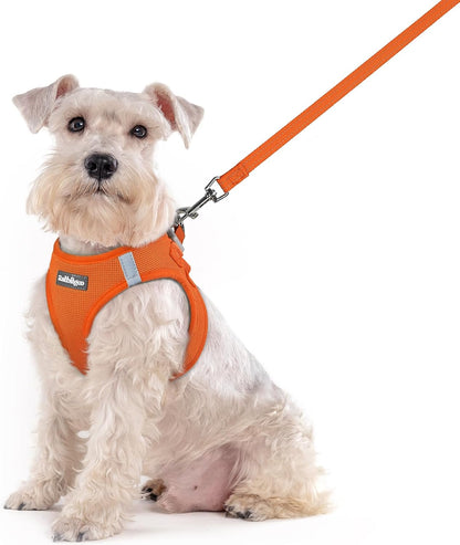 Dog Harness Small Sized and Leash Set, Step-in Puppy Pet Vest - Colors B