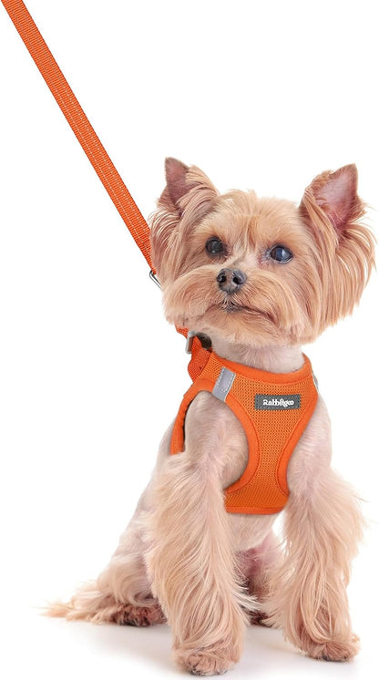 Dog Harness Small Sized and Leash Set, Step-in Puppy Pet Vest - Colors B