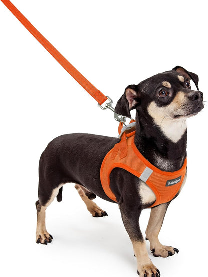 Dog Harness Small Sized and Leash Set, Step-in Puppy Pet Vest - Colors B