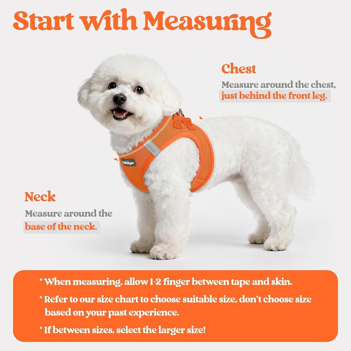 Dog Harness Small Sized and Leash Set, Step-in Puppy Pet Vest - Colors B