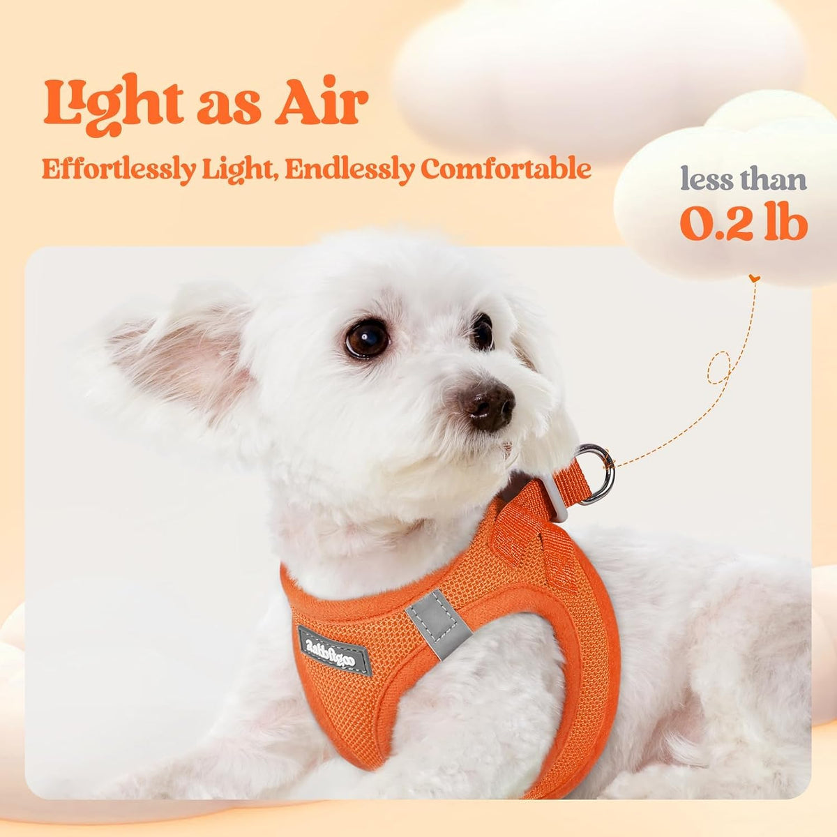 Dog Harness Small Sized and Leash Set, Step-in Puppy Pet Vest - Colors B