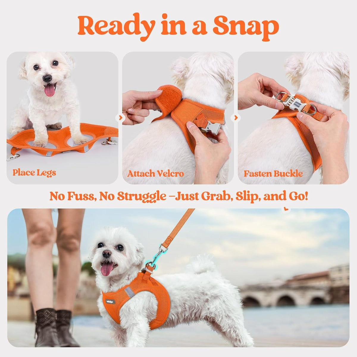 Dog Harness Small Sized and Leash Set, Step-in Puppy Pet Vest - Colors B