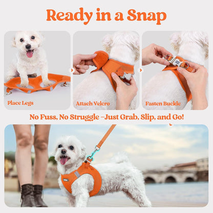 Dog Harness Small Sized and Leash Set, Step-in Puppy Pet Vest - Colors B