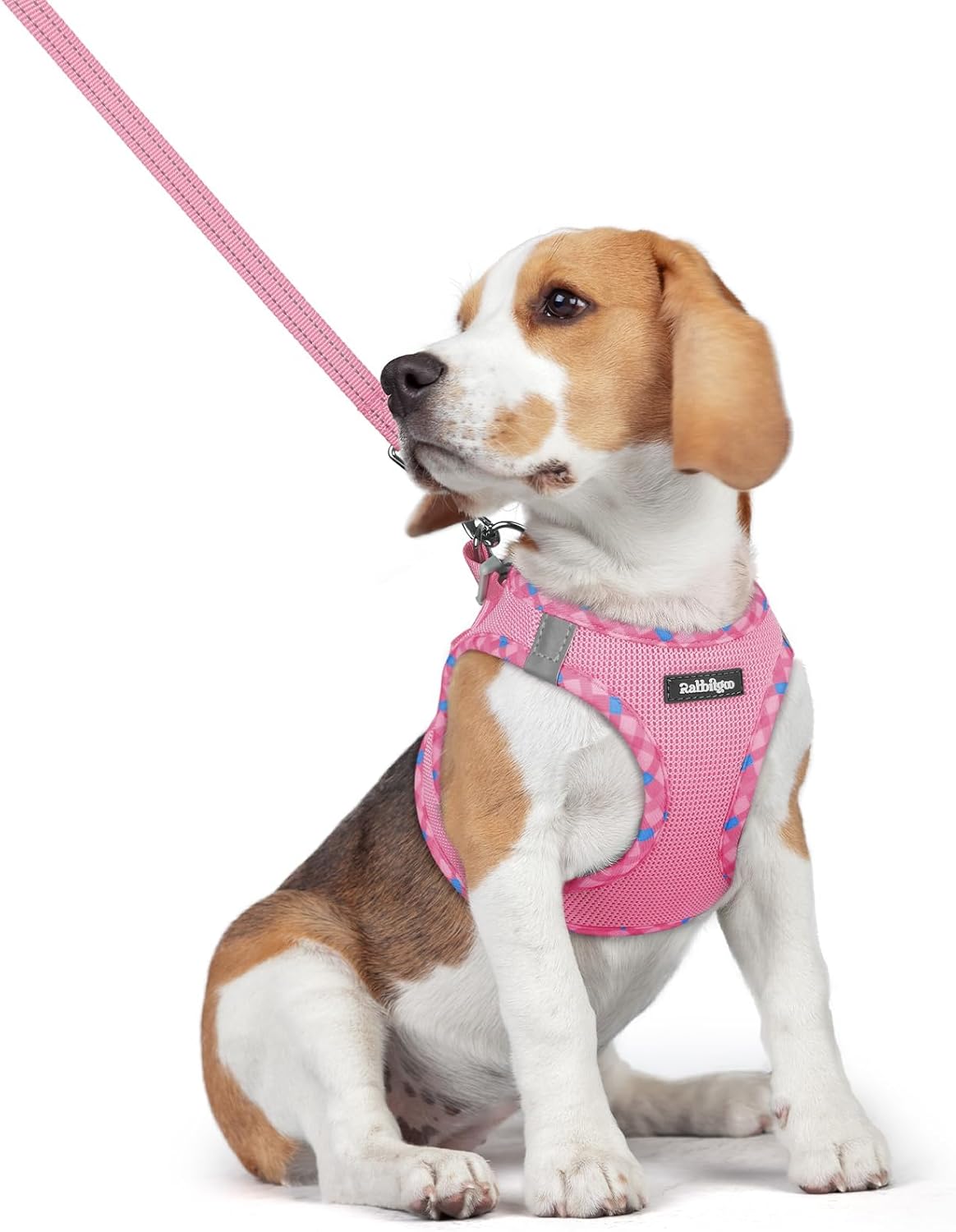 Dog Harness Small Sized and Leash Set, Step-in Puppy Pet Vest - Colors B