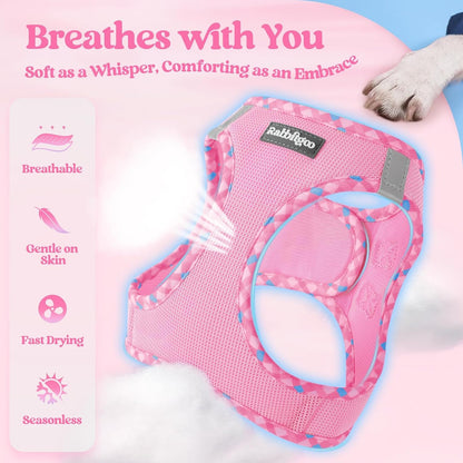 Dog Harness Small Sized and Leash Set, Step-in Puppy Pet Vest - Colors B