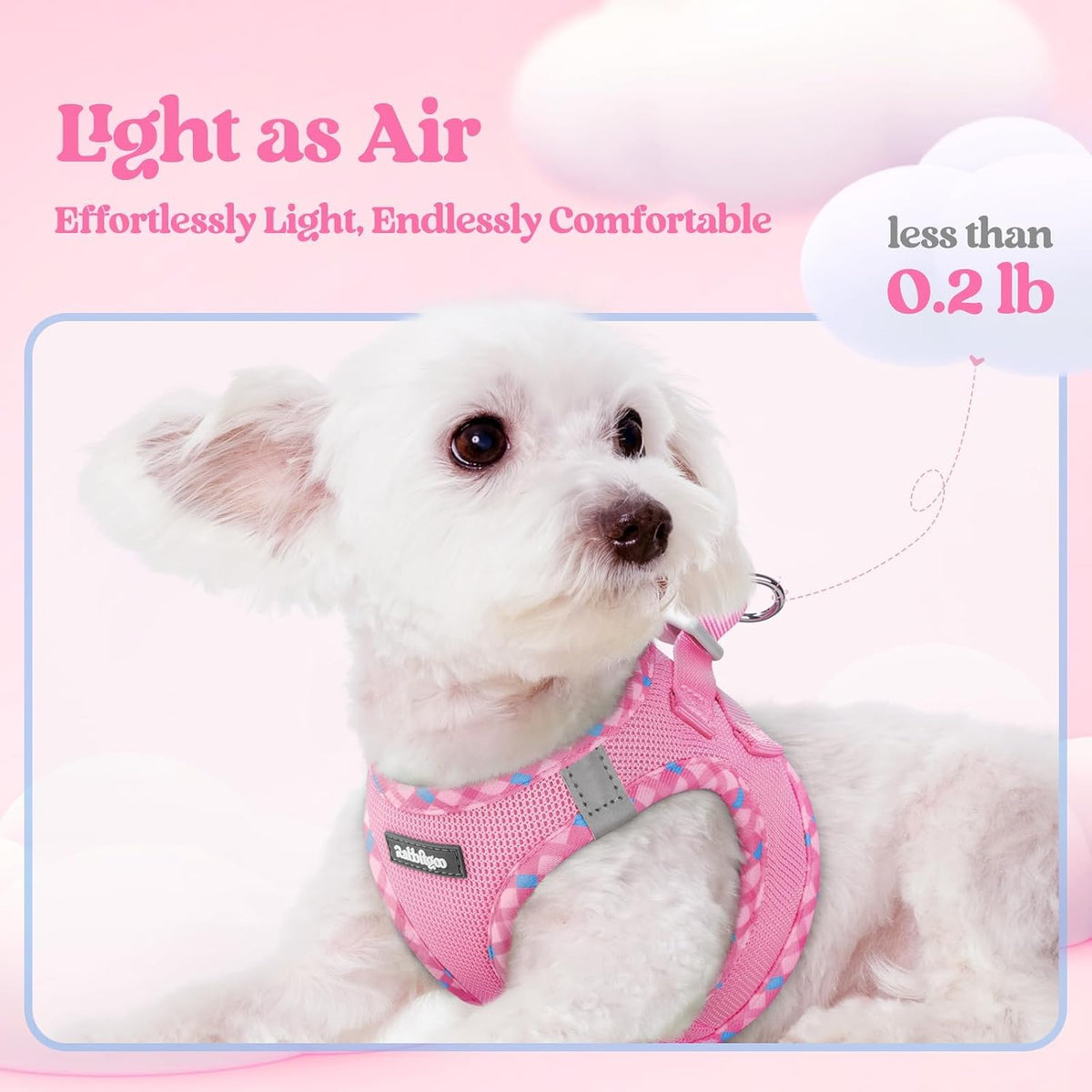 Dog Harness Small Sized and Leash Set, Step-in Puppy Pet Vest - Colors B