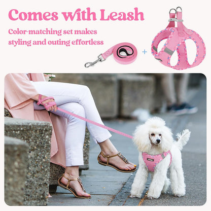 Dog Harness Small Sized and Leash Set, Step-in Puppy Pet Vest - Colors B