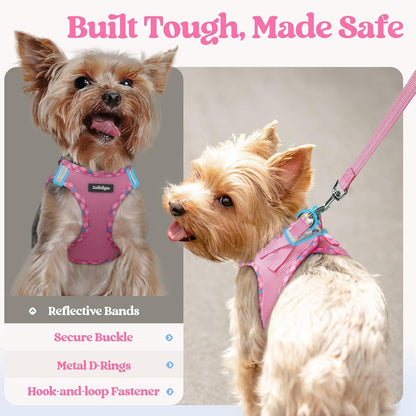 Dog Harness Small Sized and Leash Set, Step-in Puppy Pet Vest - Colors B