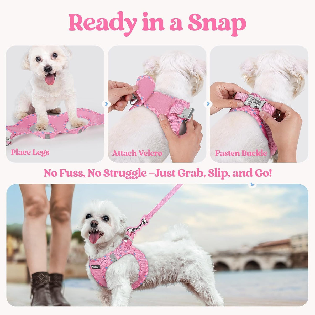 Dog Harness Small Sized and Leash Set, Step-in Puppy Pet Vest - Colors B