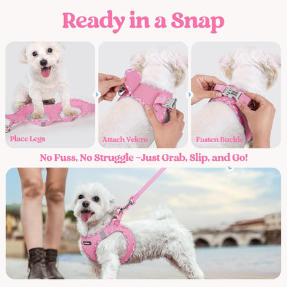 Dog Harness Small Sized and Leash Set, Step-in Puppy Pet Vest - Colors B