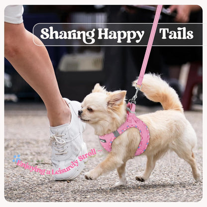 Dog Harness Small Sized and Leash Set, Step-in Puppy Pet Vest - Colors B