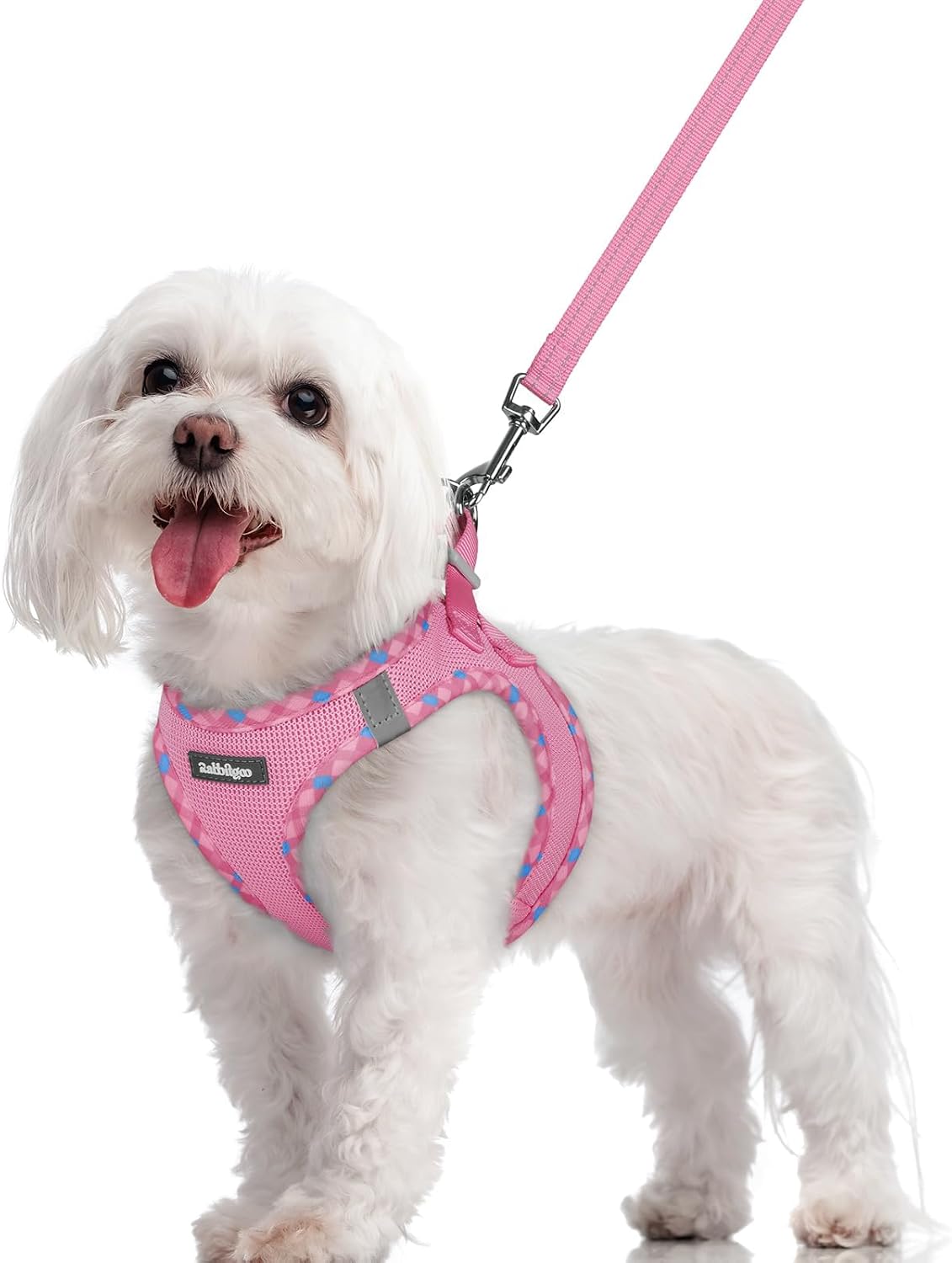 Dog Harness Small Sized and Leash Set, Step-in Puppy Pet Vest - Colors B