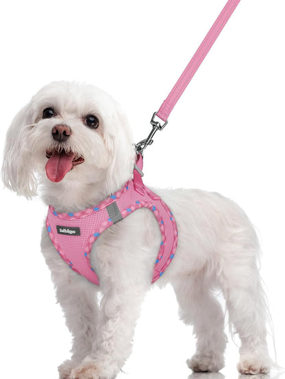Dog Harness Small Sized and Leash Set, Step-in Puppy Pet Vest - Colors B