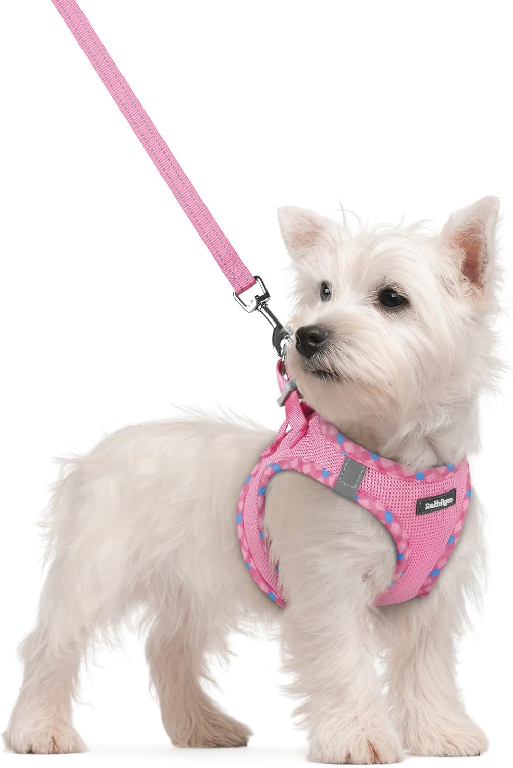Dog Harness Small Sized and Leash Set, Step-in Puppy Pet Vest - Colors B