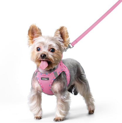 Dog Harness Small Sized and Leash Set, Step-in Puppy Pet Vest - Colors B