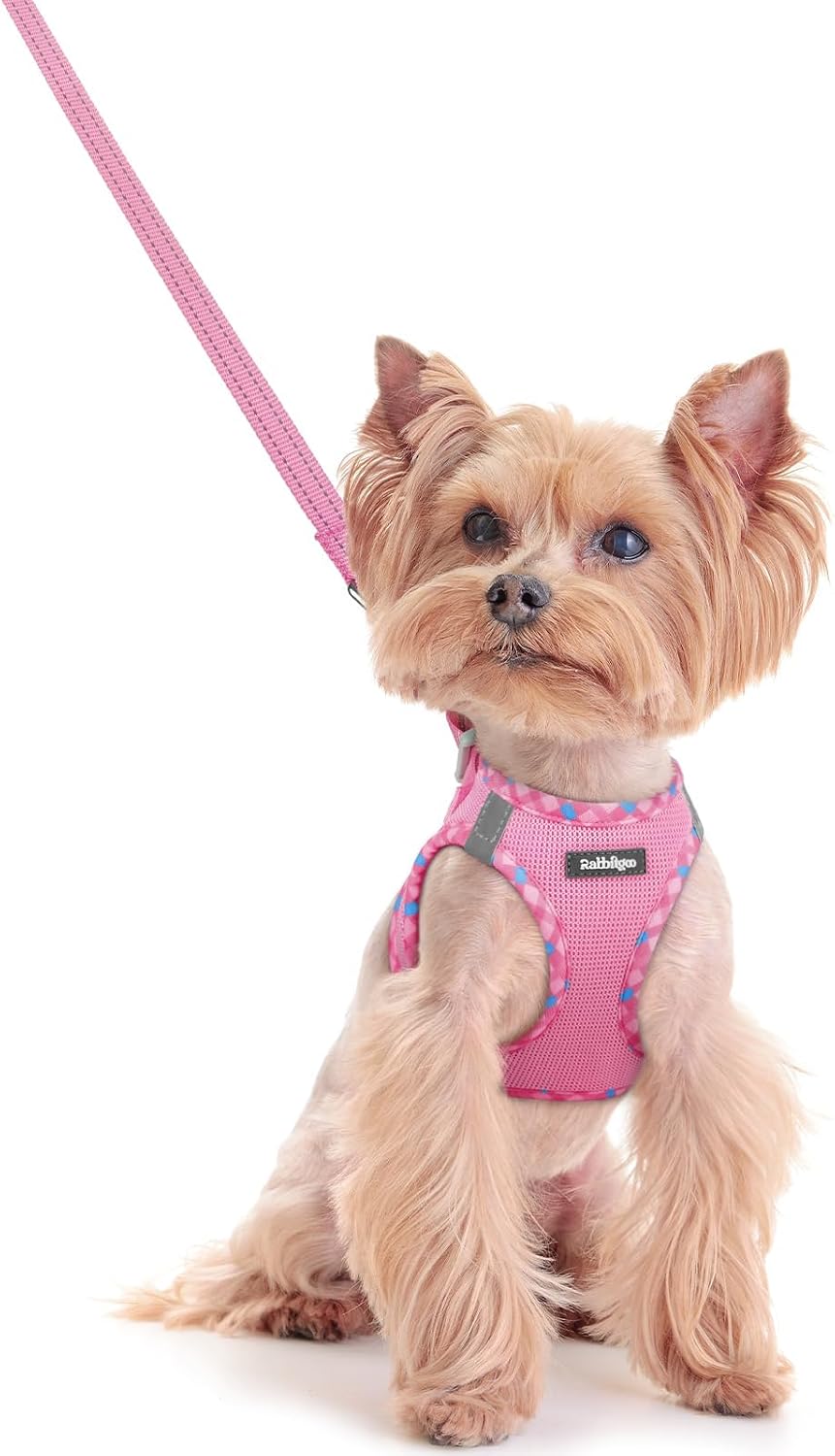 Dog Harness Small Sized and Leash Set, Step-in Puppy Pet Vest - Colors B