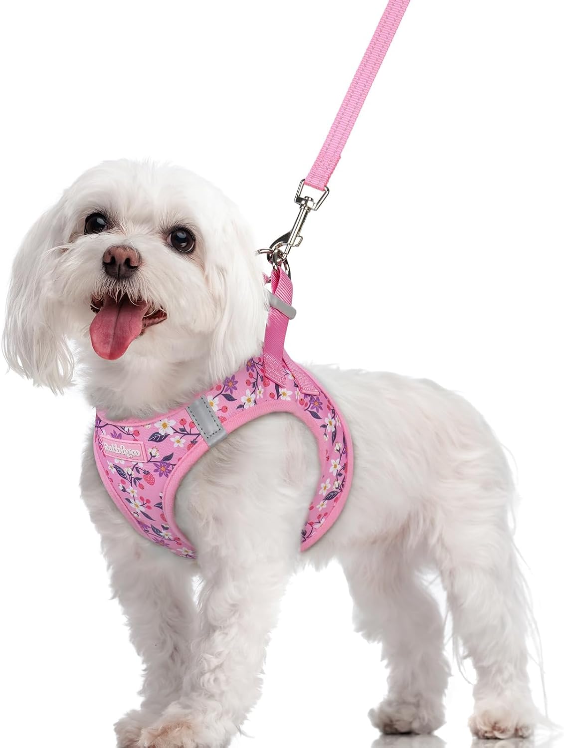 Dog Harness Small Sized and Leash Set, Step-in Puppy Pet Vest - Colors B