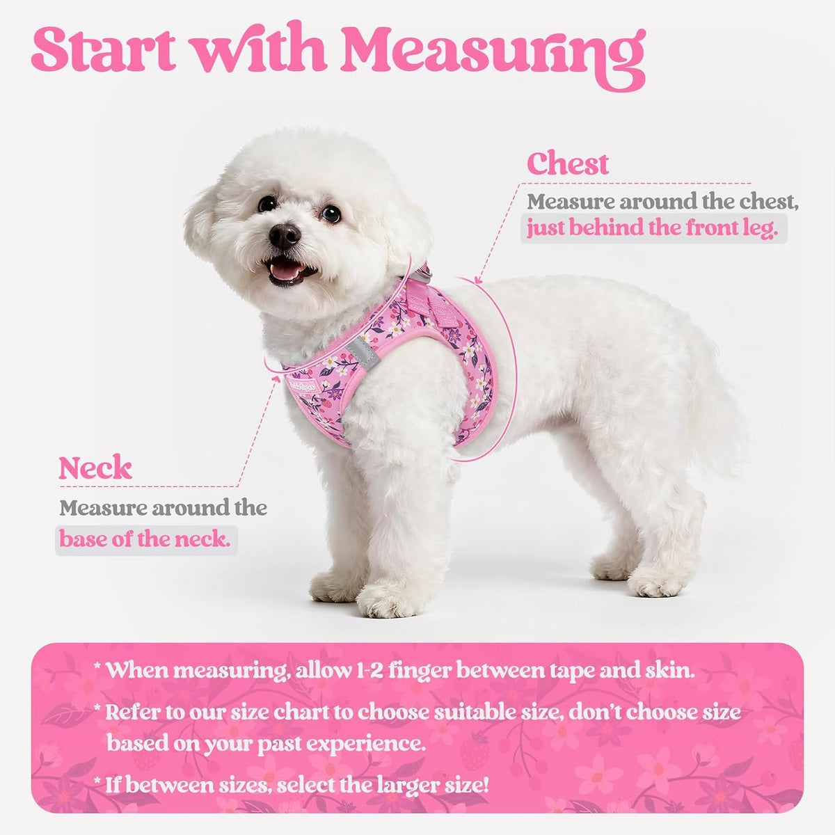 Dog Harness Small Sized and Leash Set, Step-in Puppy Pet Vest - Colors B