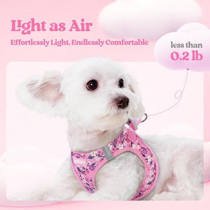 Dog Harness Small Sized and Leash Set, Step-in Puppy Pet Vest - Colors B