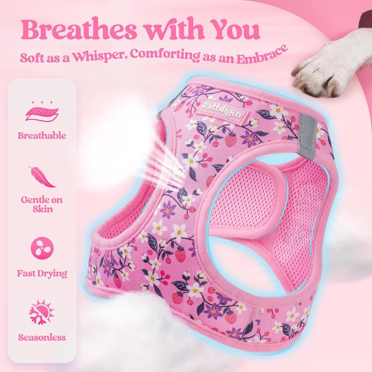 Dog Harness Small Sized and Leash Set, Step-in Puppy Pet Vest - Colors B