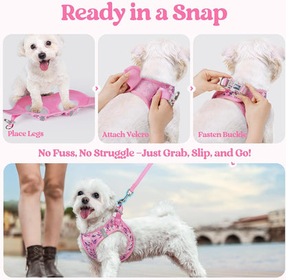 Dog Harness Small Sized and Leash Set, Step-in Puppy Pet Vest - Colors B