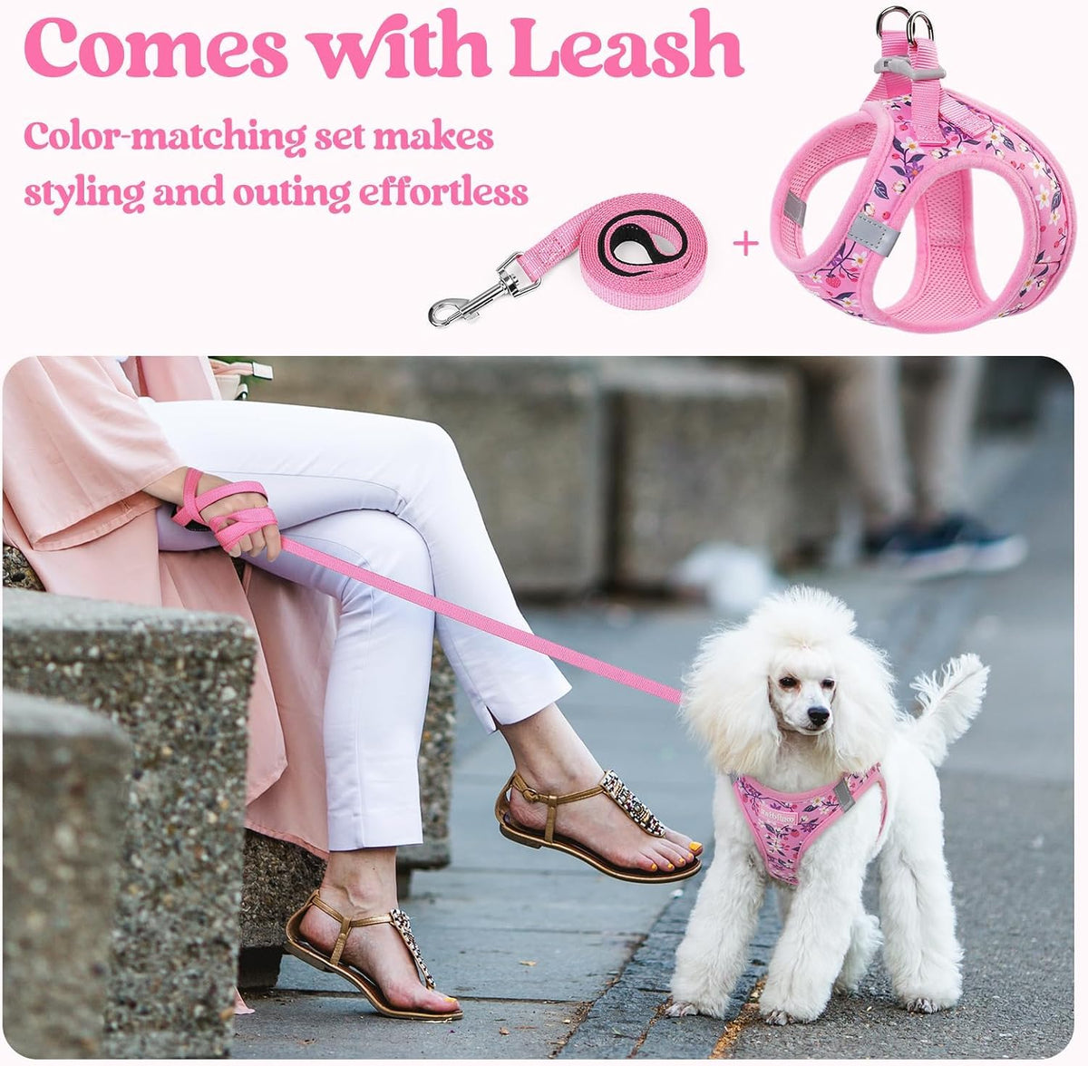 Dog Harness Small Sized and Leash Set, Step-in Puppy Pet Vest - Colors B