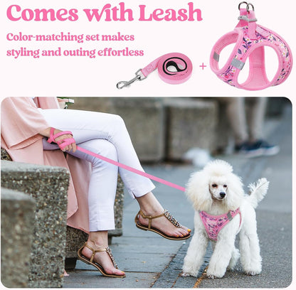 Dog Harness Small Sized and Leash Set, Step-in Puppy Pet Vest - Colors B