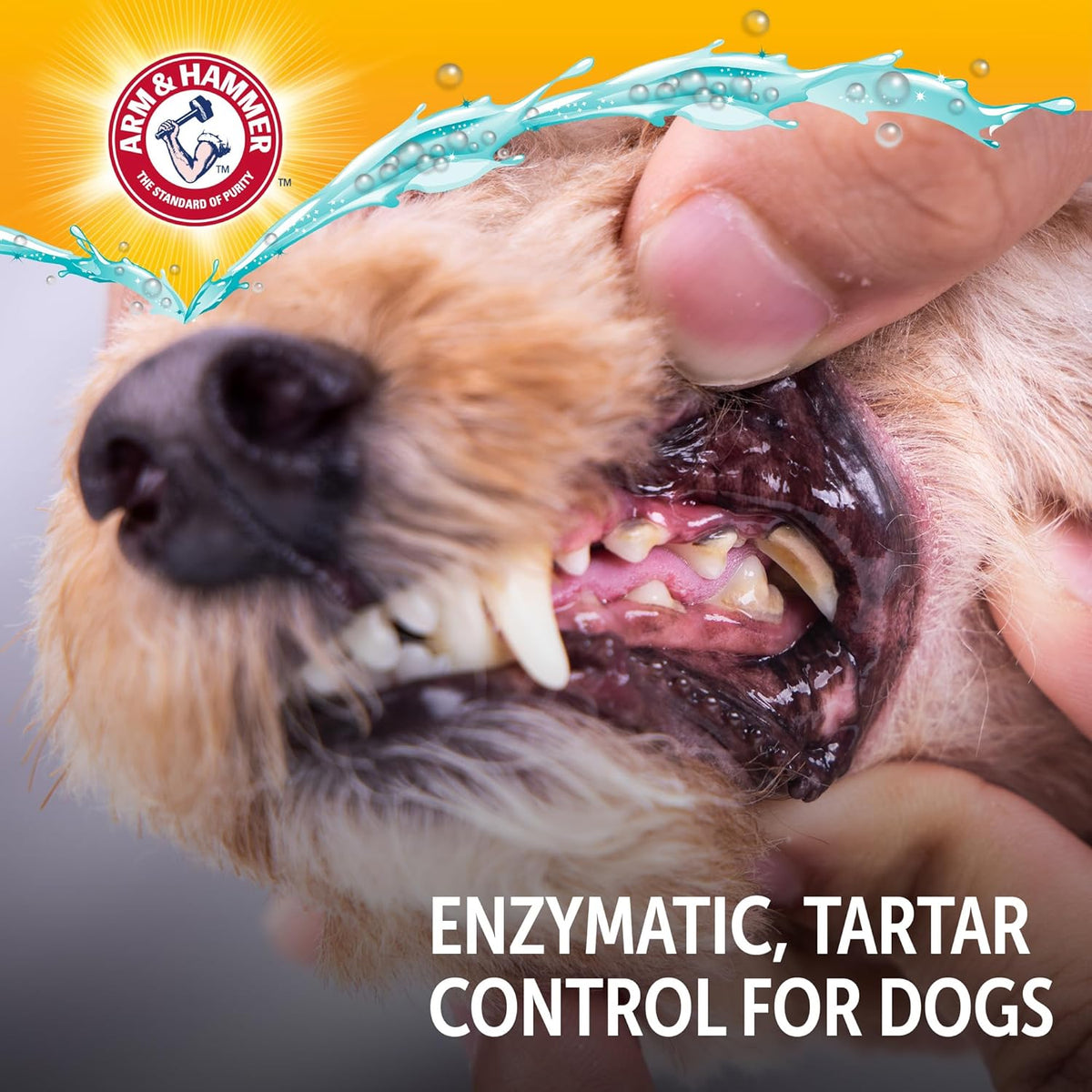 Arm and Hammer Complete Care Dog Dental Kit, Chicken Flavor, 2.5 Oz | Enzymatic toothpaste, toothbrush, and finger brush with baking soda and calcium for plaque and tartar control