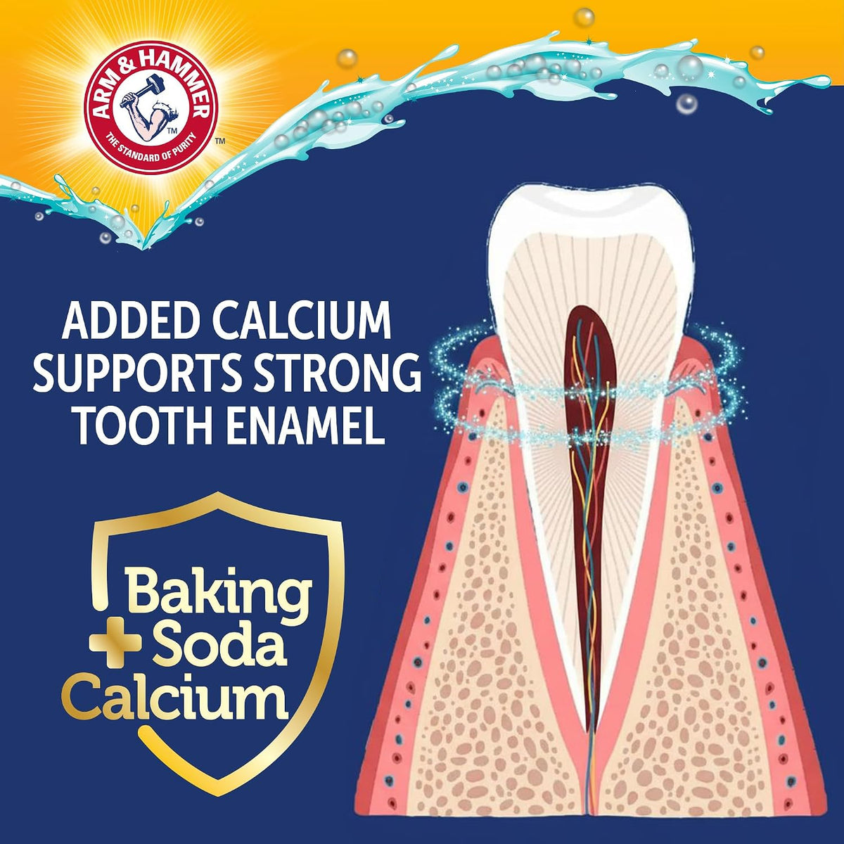 Arm and Hammer Complete Care Dog Dental Kit, Chicken Flavor, 2.5 Oz | Enzymatic toothpaste, toothbrush, and finger brush with baking soda and calcium for plaque and tartar control