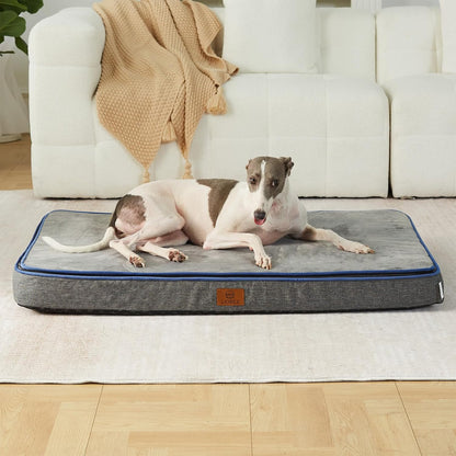 Orthopedic Memory Foam XXL Dog Bed - 6" Thick Beds for Extra Large Sized Dog - Waterproof Removable Washable Cover & Wrap-Around Zipper - Ultimate Comfort & Easy Maintenance, Dary Grey