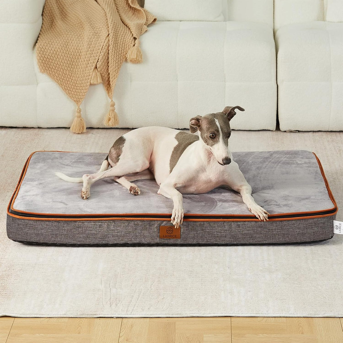 Orthopedic Memory Foam XXL Dog Bed - 6" Thick Beds for Extra Large Sized Dog - Waterproof Removable Washable Cover & Wrap-Around Zipper - Ultimate Comfort & Easy Maintenance, Dary Grey