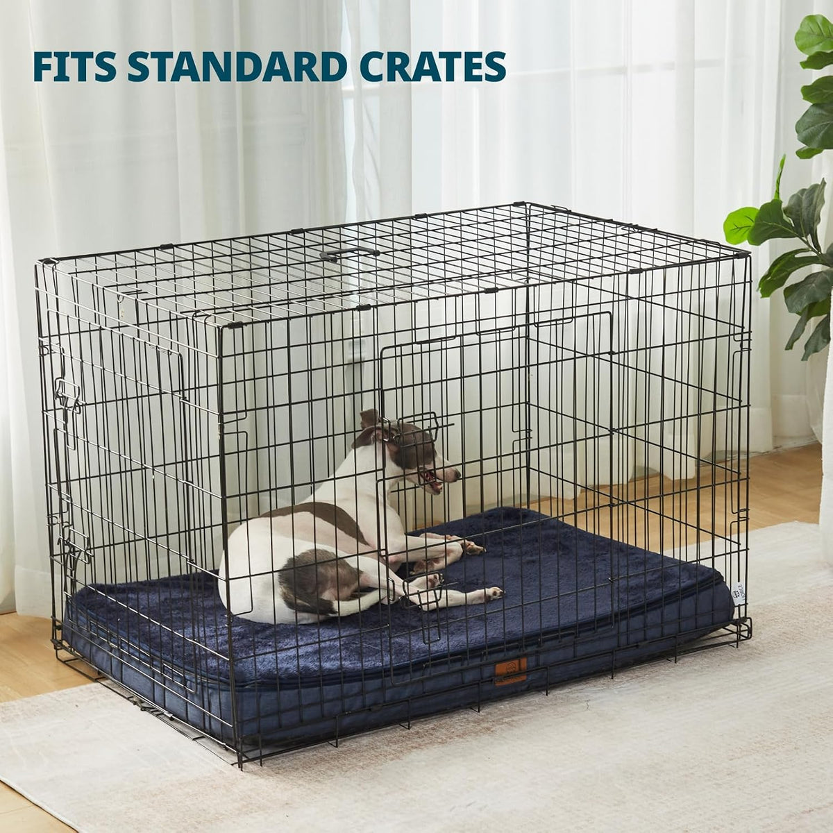 Orthopedic Memory Foam XXL Dog Bed - 6" Thick Beds for Extra Large Sized Dog - Waterproof Removable Washable Cover & Wrap-Around Zipper - Ultimate Comfort & Easy Maintenance, Dary Grey