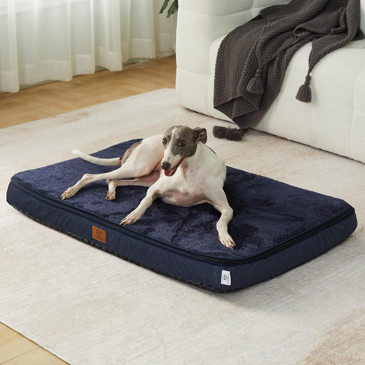 Orthopedic Memory Foam XXL Dog Bed - 6" Thick Beds for Extra Large Sized Dog - Waterproof Removable Washable Cover & Wrap-Around Zipper - Ultimate Comfort & Easy Maintenance, Dary Grey