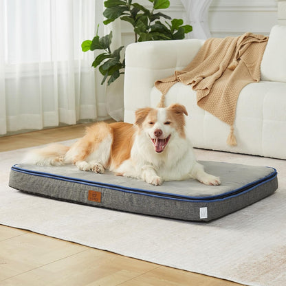 Orthopedic Memory Foam XXL Dog Bed - 6" Thick Beds for Extra Large Sized Dog - Waterproof Removable Washable Cover & Wrap-Around Zipper - Ultimate Comfort & Easy Maintenance, Dary Grey