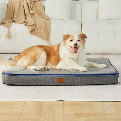 Orthopedic Memory Foam XXL Dog Bed - 6" Thick Beds for Extra Large Sized Dog - Waterproof Removable Washable Cover & Wrap-Around Zipper - Ultimate Comfort & Easy Maintenance, Dary Grey