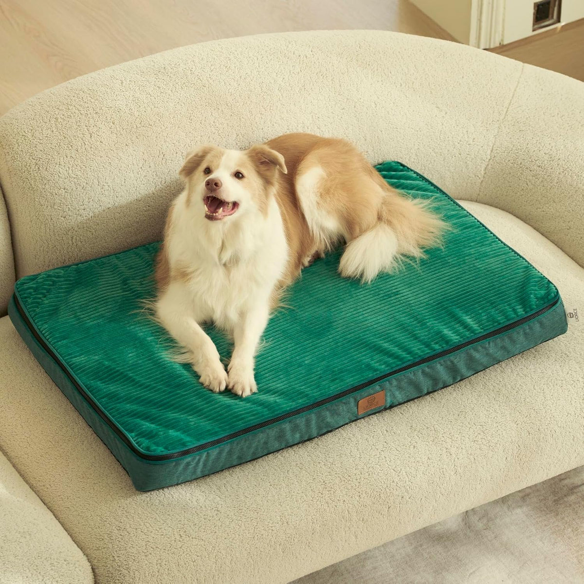 Orthopedic Memory Foam XXL Dog Bed - 6" Thick Beds for Extra Large Sized Dog - Waterproof Removable Washable Cover & Wrap-Around Zipper - Ultimate Comfort & Easy Maintenance, Dary Grey