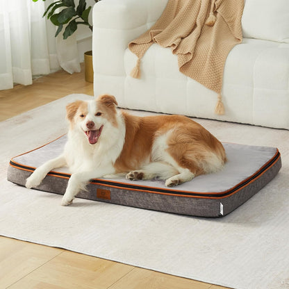 Orthopedic Memory Foam XXL Dog Bed - 6" Thick Beds for Extra Large Sized Dog - Waterproof Removable Washable Cover & Wrap-Around Zipper - Ultimate Comfort & Easy Maintenance, Dary Grey