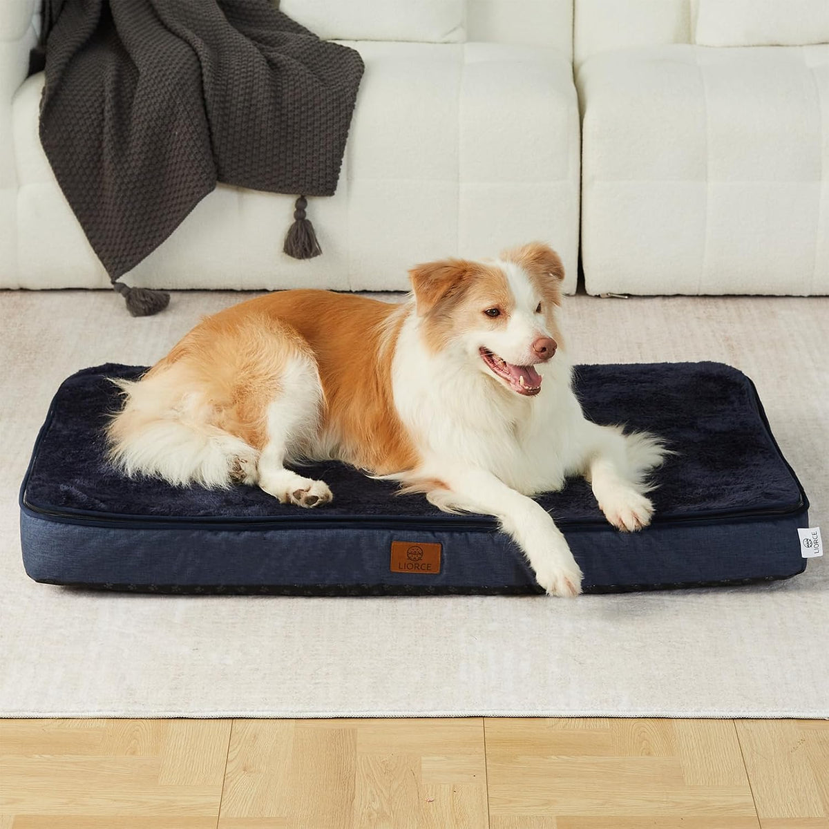 Orthopedic Memory Foam XXL Dog Bed - 6" Thick Beds for Extra Large Sized Dog - Waterproof Removable Washable Cover & Wrap-Around Zipper - Ultimate Comfort & Easy Maintenance, Dary Grey