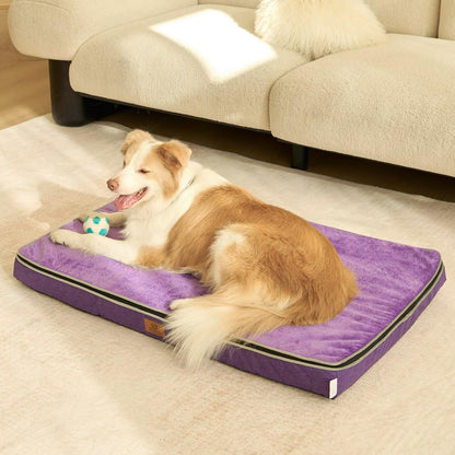 Orthopedic Memory Foam XXL Dog Bed - 6" Thick Beds for Extra Large Sized Dog - Waterproof Removable Washable Cover & Wrap-Around Zipper - Ultimate Comfort & Easy Maintenance, Dary Grey