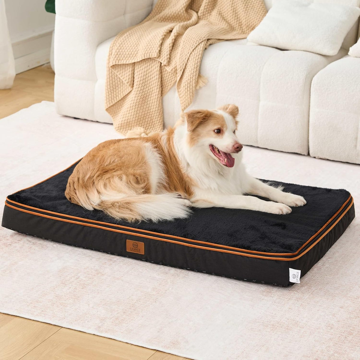 Orthopedic Memory Foam XXL Dog Bed - 6" Thick Beds for Extra Large Sized Dog - Waterproof Removable Washable Cover & Wrap-Around Zipper - Ultimate Comfort & Easy Maintenance, Dary Grey