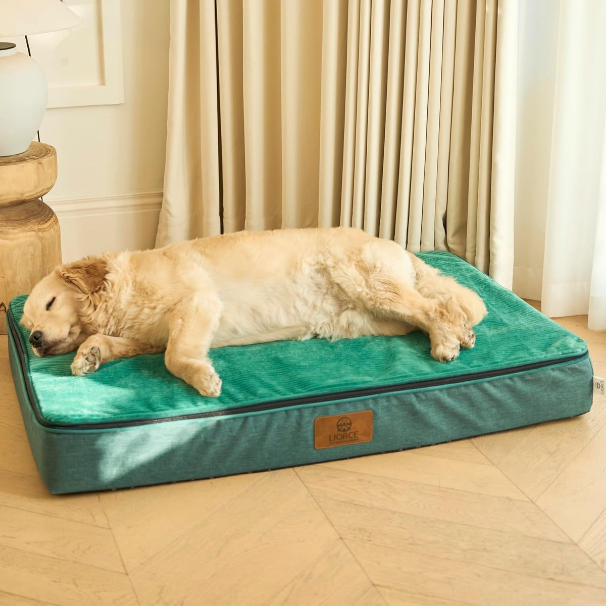 Orthopedic Memory Foam XXL Dog Bed - 6" Thick Beds for Extra Large Sized Dog - Waterproof Removable Washable Cover & Wrap-Around Zipper - Ultimate Comfort & Easy Maintenance, Dary Grey