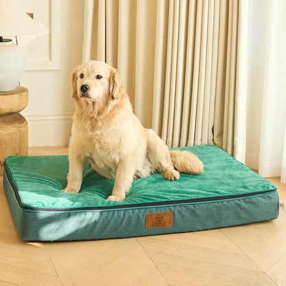 Orthopedic Memory Foam XXL Dog Bed - 6" Thick Beds for Extra Large Sized Dog - Waterproof Removable Washable Cover & Wrap-Around Zipper - Ultimate Comfort & Easy Maintenance, Dary Grey