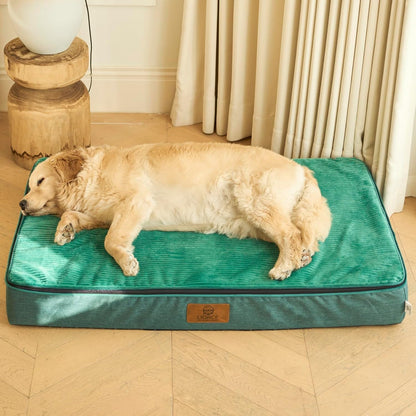 Orthopedic Memory Foam XXL Dog Bed - 6" Thick Beds for Extra Large Sized Dog - Waterproof Removable Washable Cover & Wrap-Around Zipper - Ultimate Comfort & Easy Maintenance, Dary Grey