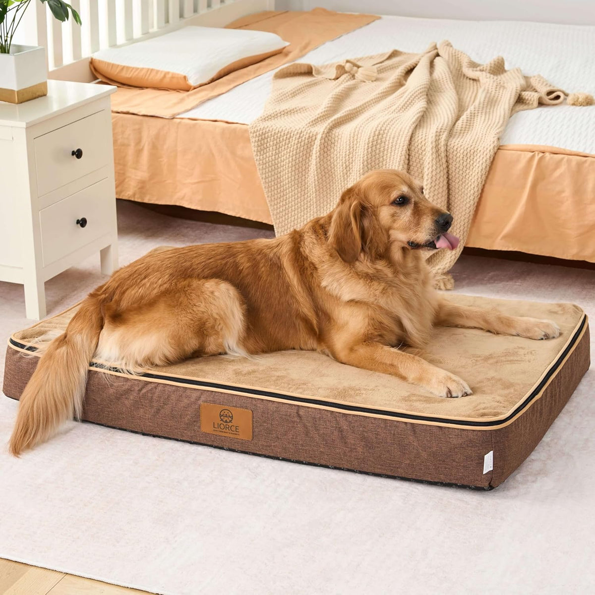 Orthopedic Memory Foam XXL Dog Bed - 6" Thick Beds for Extra Large Sized Dog - Waterproof Removable Washable Cover & Wrap-Around Zipper - Ultimate Comfort & Easy Maintenance, Dary Grey