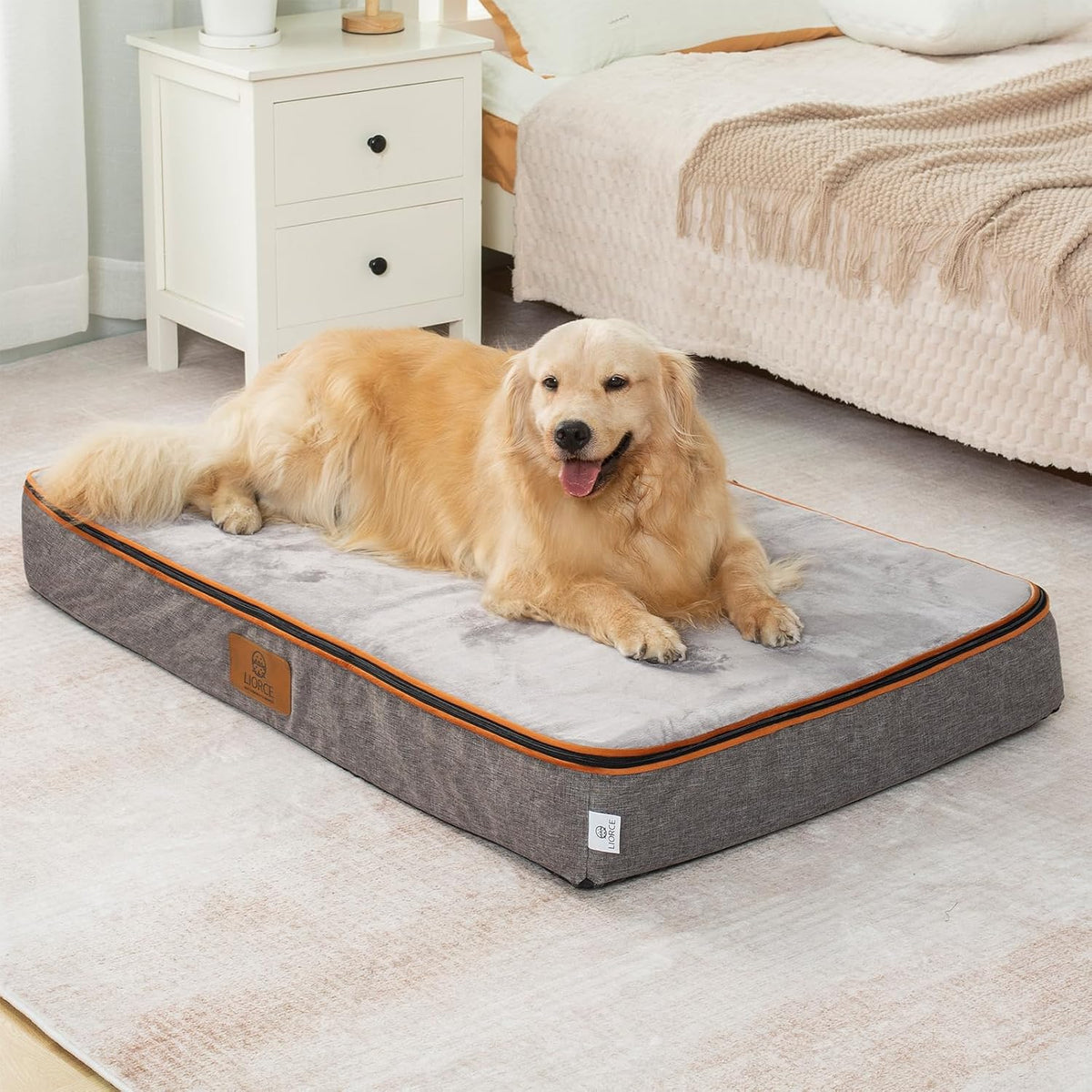Orthopedic Memory Foam XXL Dog Bed - 6" Thick Beds for Extra Large Sized Dog - Waterproof Removable Washable Cover & Wrap-Around Zipper - Ultimate Comfort & Easy Maintenance, Dary Grey