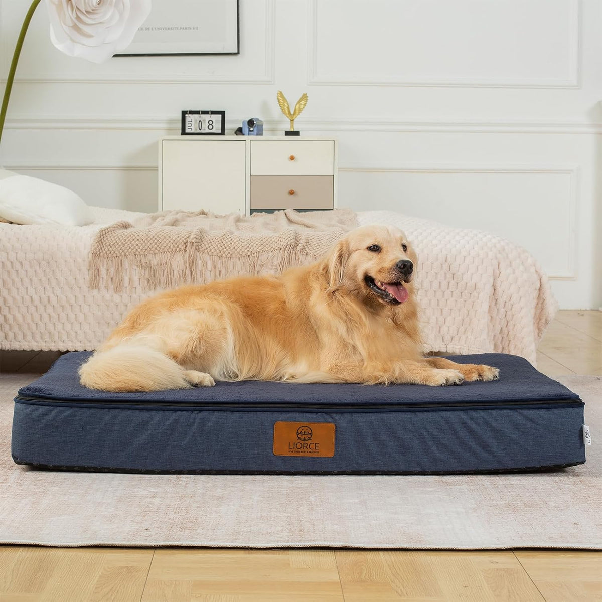 Orthopedic Memory Foam XXL Dog Bed - 6" Thick Beds for Extra Large Sized Dog - Waterproof Removable Washable Cover & Wrap-Around Zipper - Ultimate Comfort & Easy Maintenance, Dary Grey